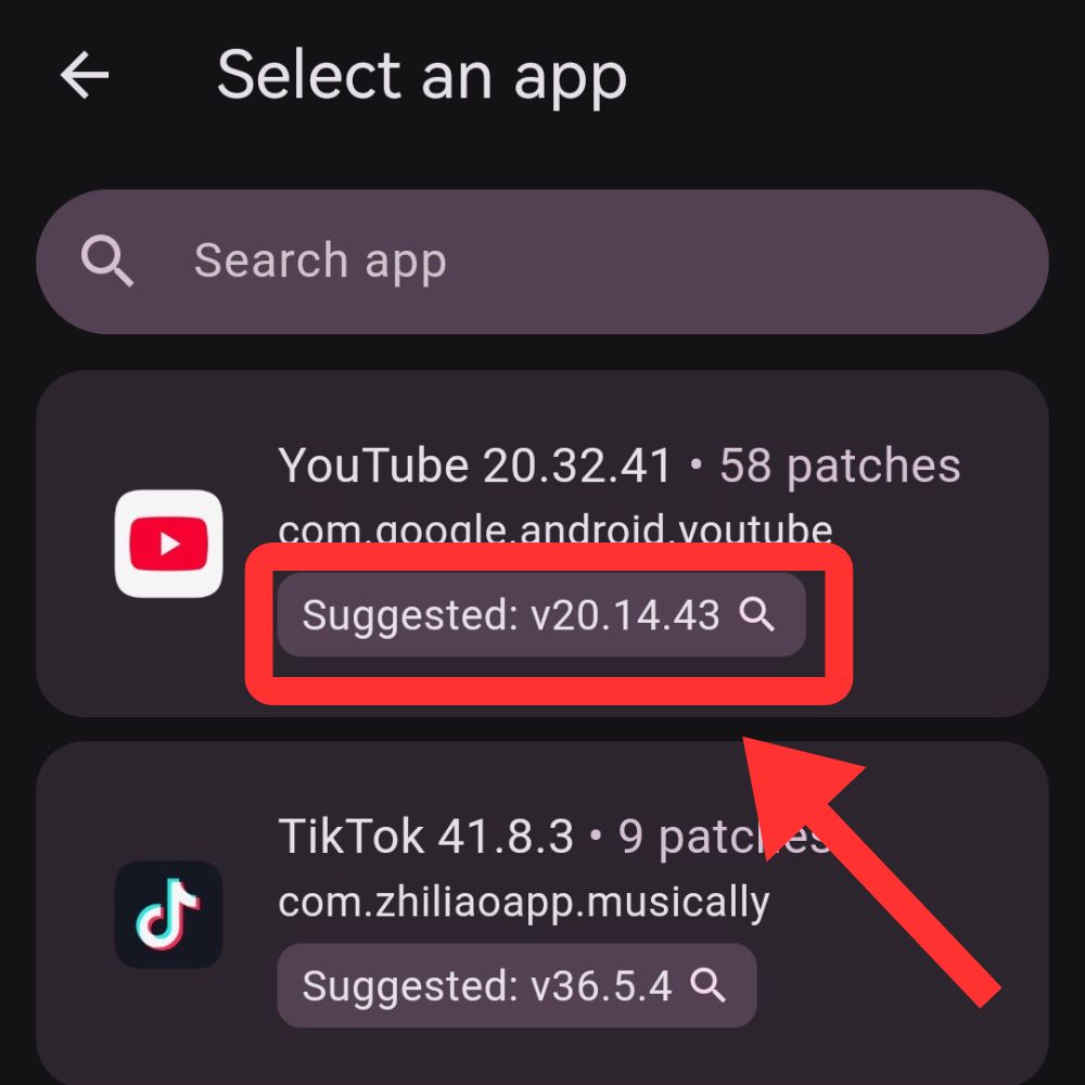 ReVanced Manager - Suggested version selection