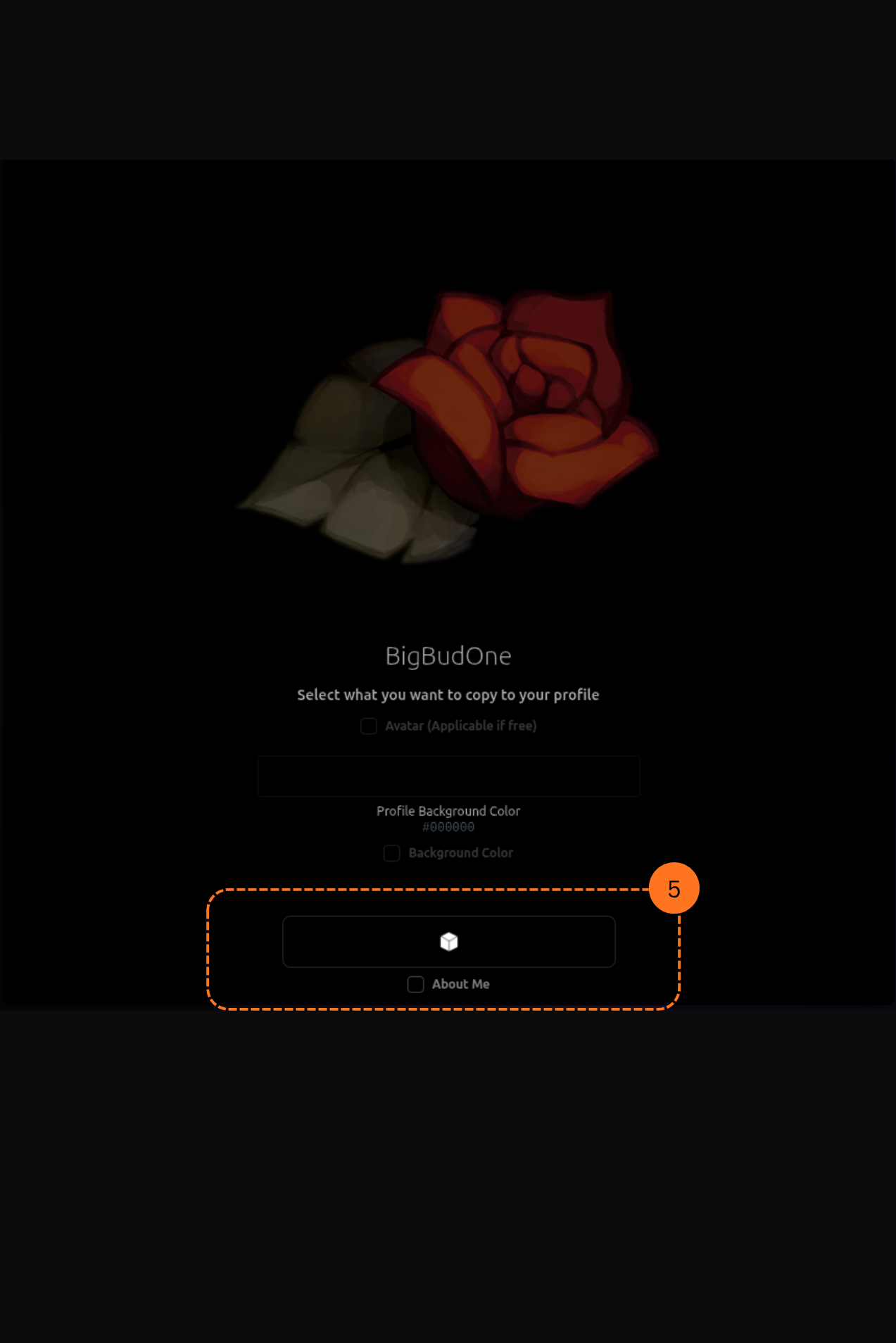 PSN Profile Cloner, copy about me description option